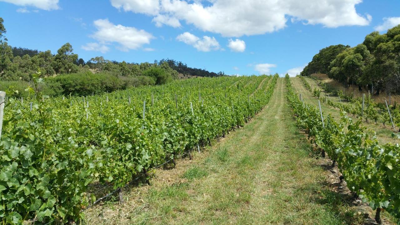 Pensjonat Charles Reuben Estate Hobart Zewnętrze zdjęcie
