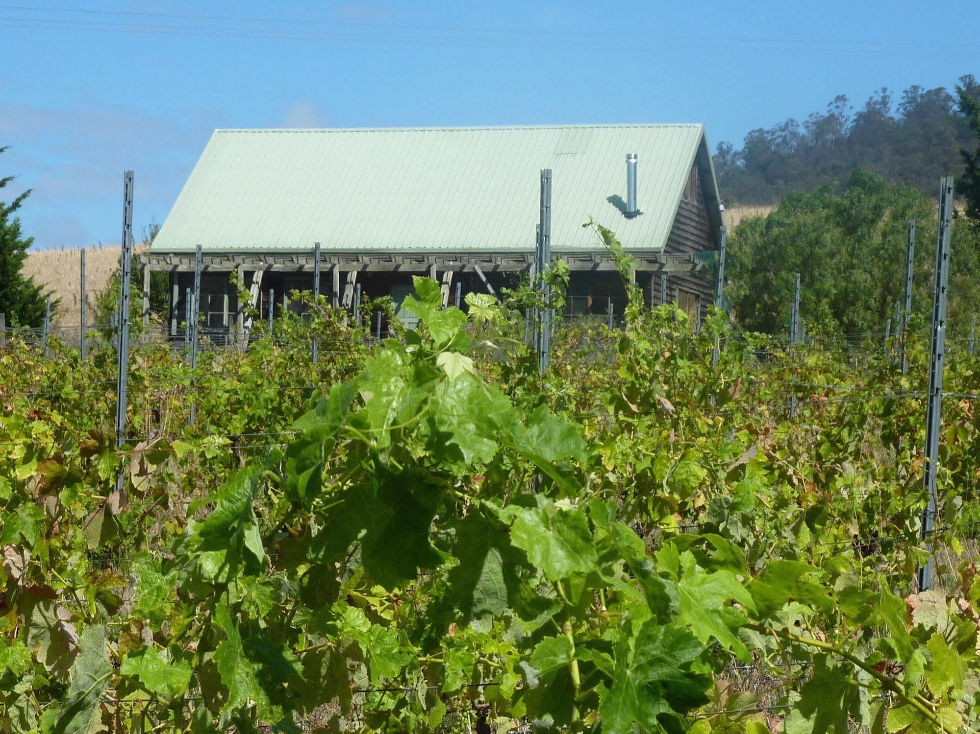 Pensjonat Charles Reuben Estate Hobart Zewnętrze zdjęcie